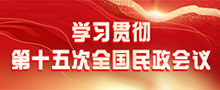 学习贯彻第十五次全国民政会议